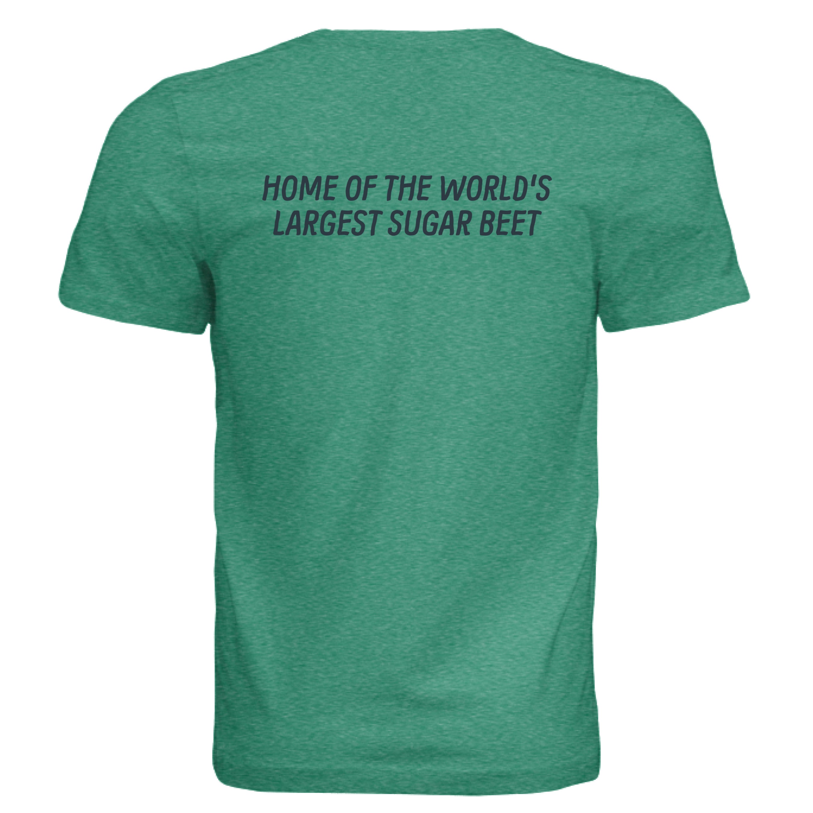 Kelly Triblend - BACK