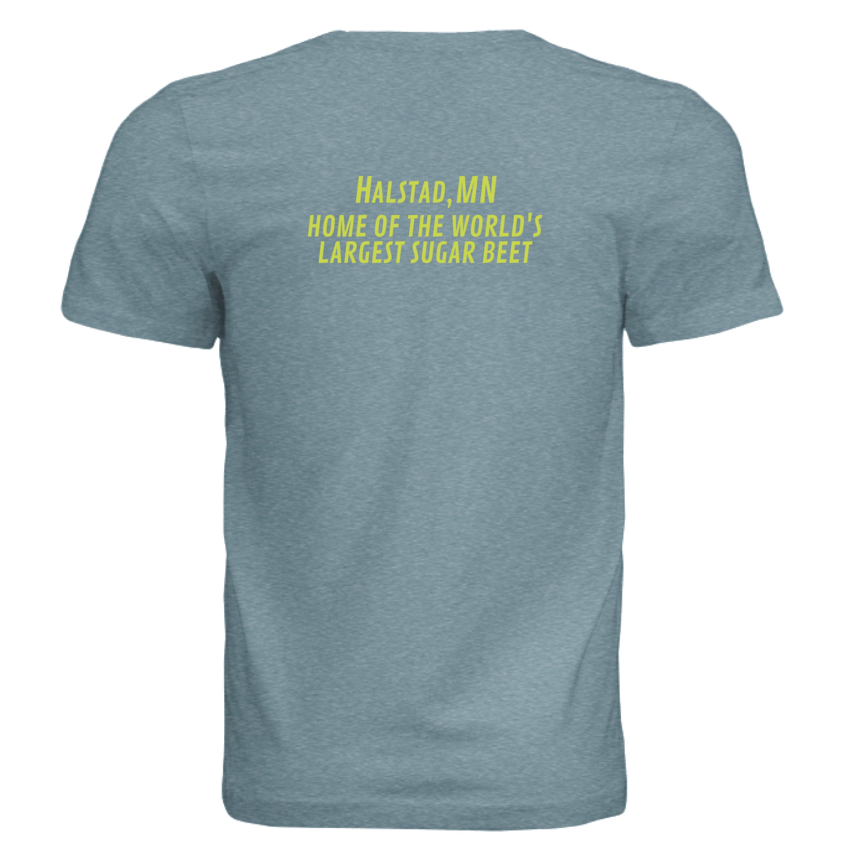 DENIM TRIBLEND - BACK