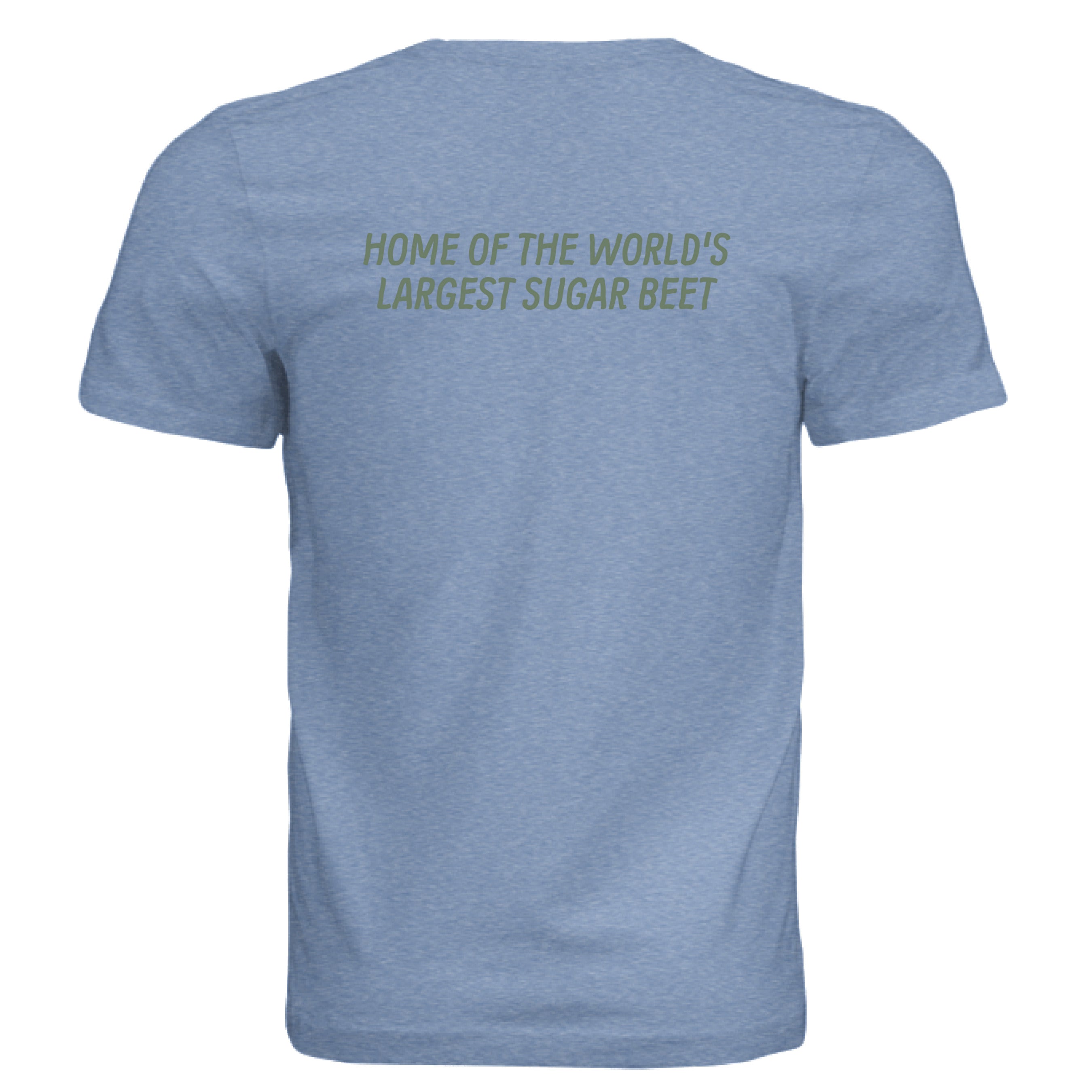 Solid Blue Triblend - BACK